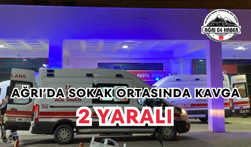 Ağrı’da Sokak Ortasında Kavga 2 Yaralı
