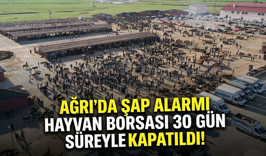Ağrı’da Şap Alarmı Hayvan Borsası 30 Gün Süreyle Kapatıldı