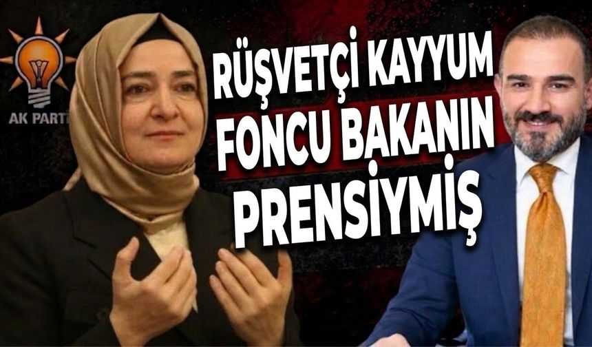 Rüşvetçi Kayyum, Foncu Bakanın Prensiymiş